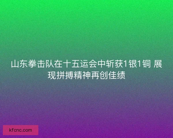 山东拳击队在十五运会中斩获1银1铜 展现拼搏精神再创佳绩